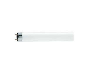 TL-buis TL-D 58W 940 151cm G13