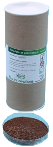 Aphidoletes aphidimyza 10.000/koker BI