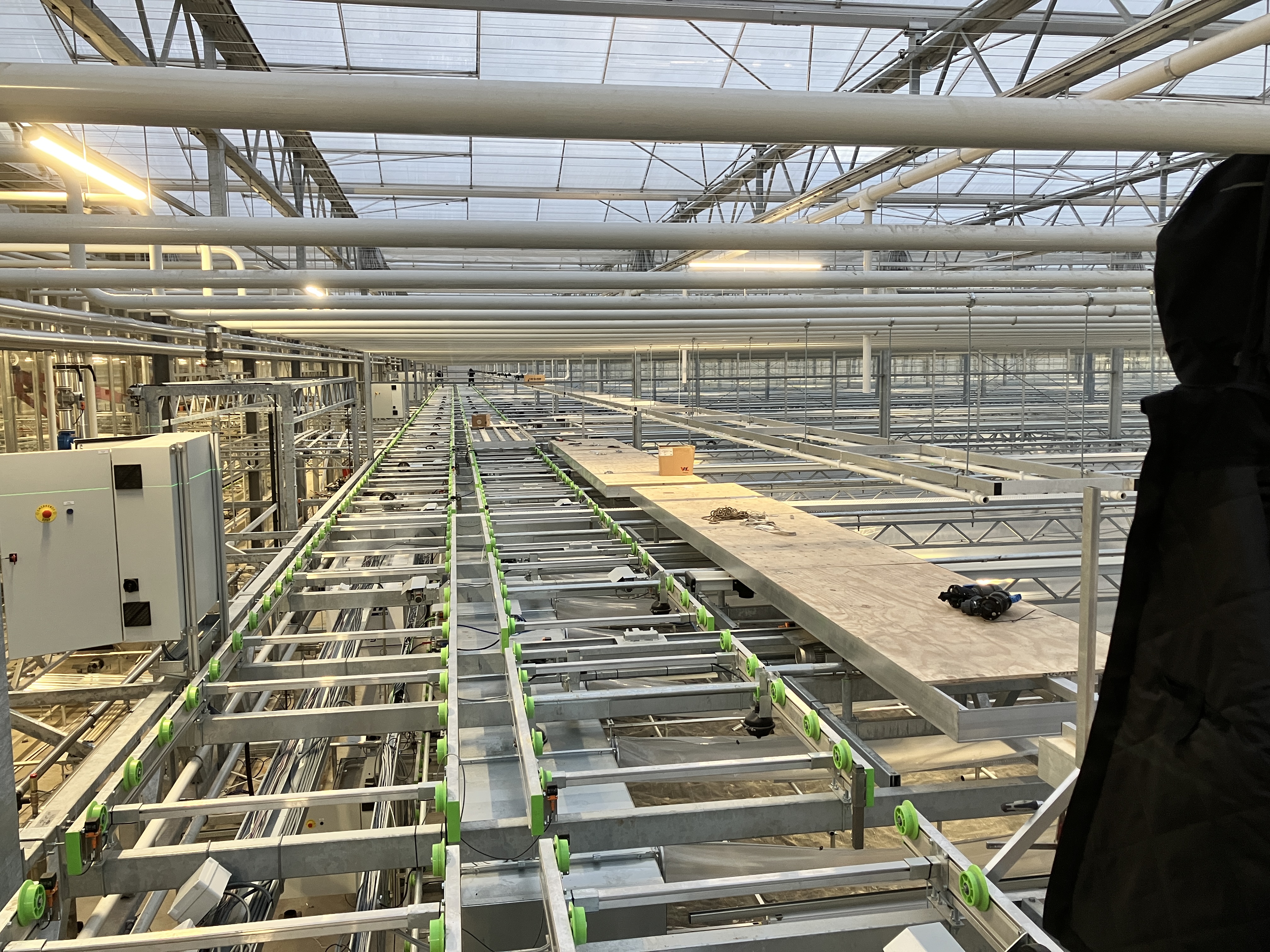 Ronico B.V.: Nieuwbouw tulpenbroeierij, watertechniek & LED-belichting