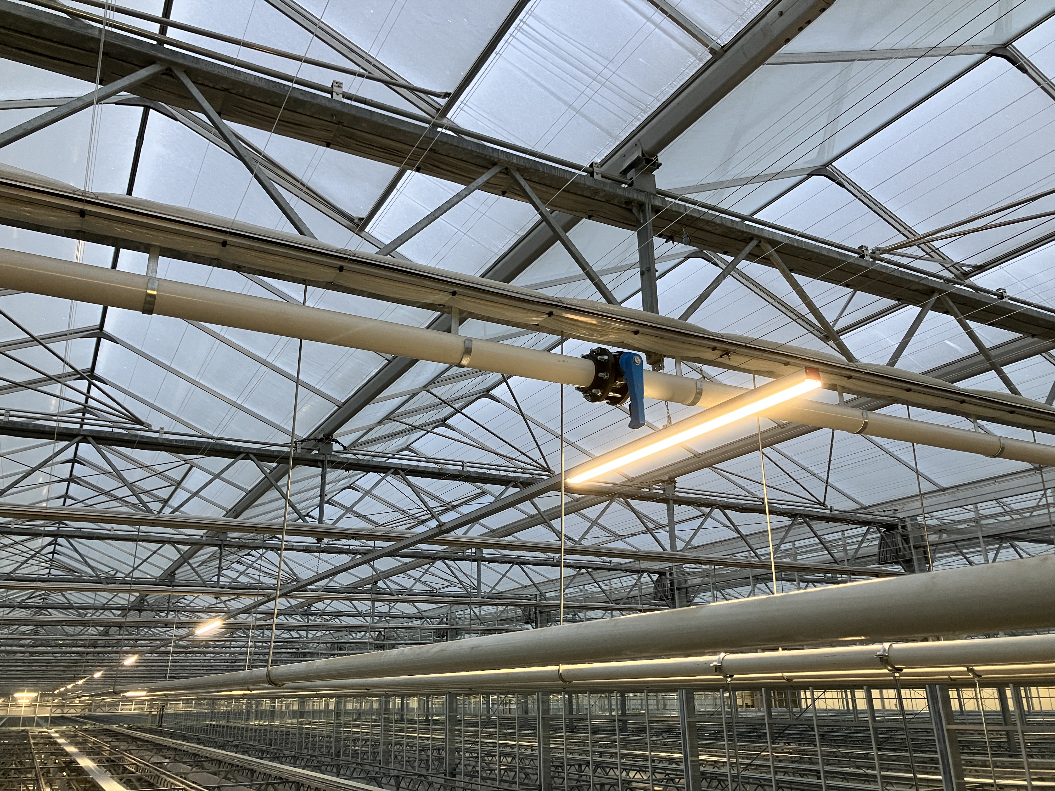 Ronico B.V.: Nieuwbouw tulpenbroeierij, watertechniek & LED-belichting
