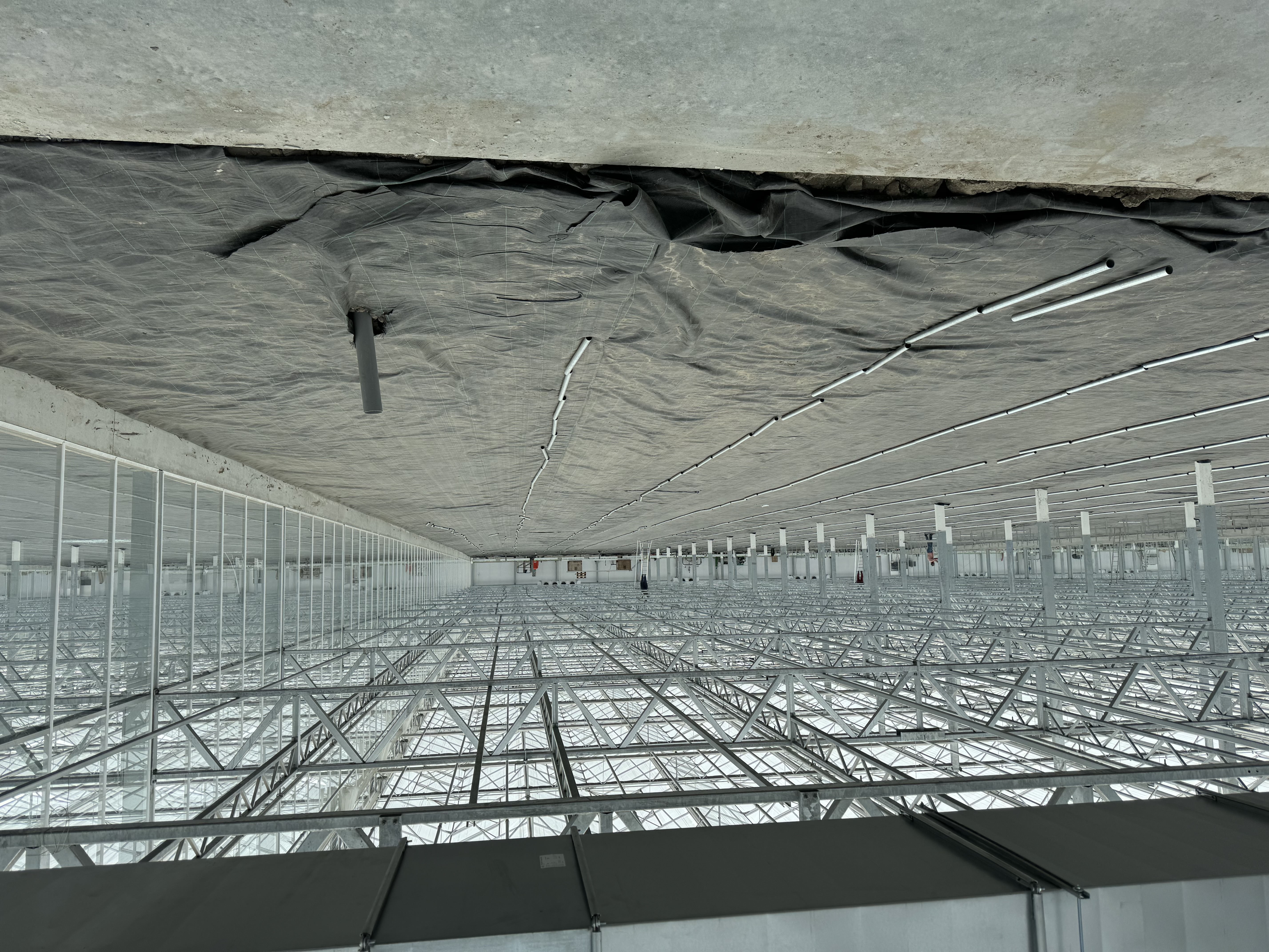 Ronico B.V.: Nieuwbouw tulpenbroeierij, watertechniek & LED-belichting