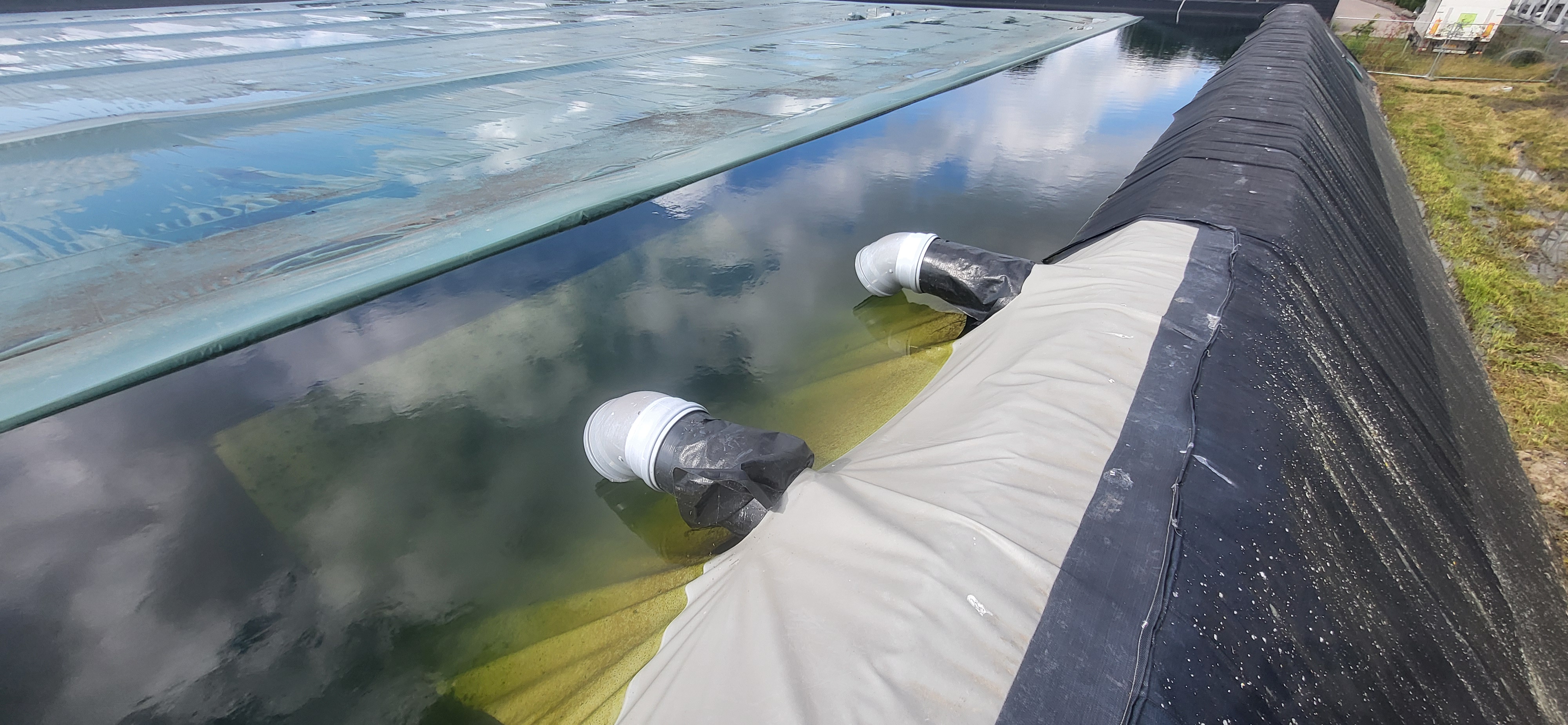 Ronico B.V.: Nieuwbouw tulpenbroeierij, watertechniek & LED-belichting