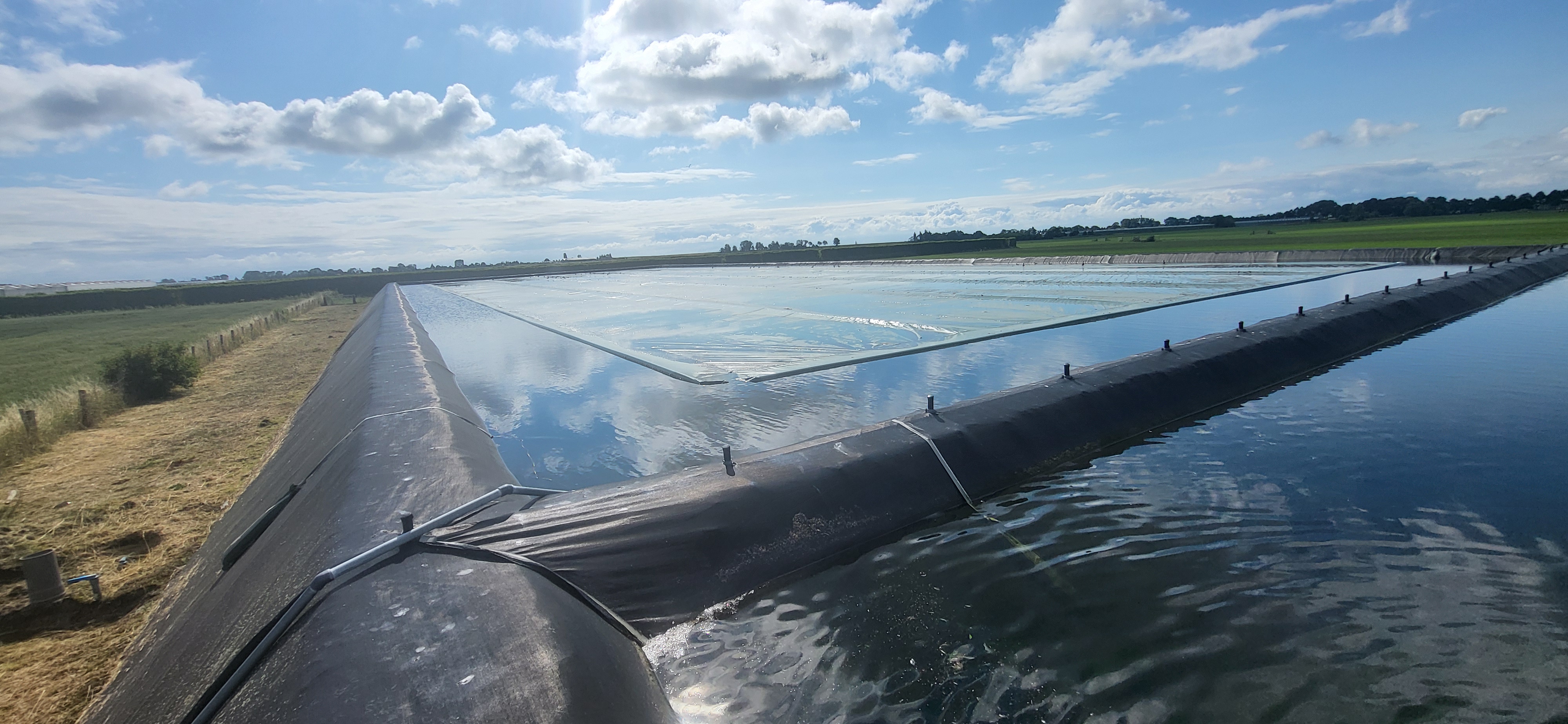 Ronico B.V.: Nieuwbouw tulpenbroeierij, watertechniek & LED-belichting
