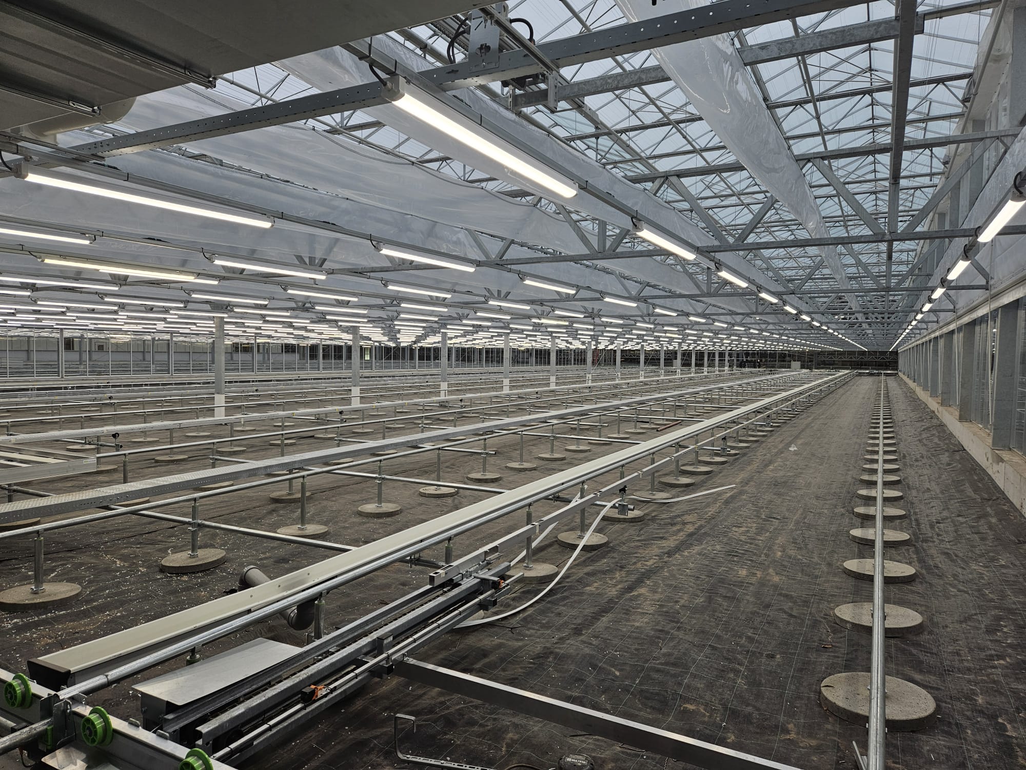 Ronico B.V.: Nieuwbouw tulpenbroeierij, watertechniek & LED-belichting