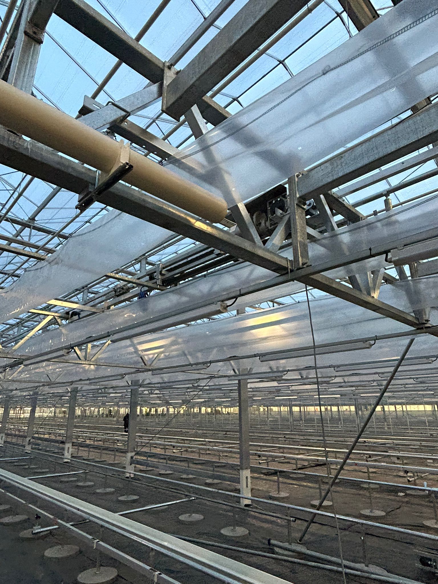 Ronico B.V.: Nieuwbouw tulpenbroeierij, watertechniek & LED-belichting