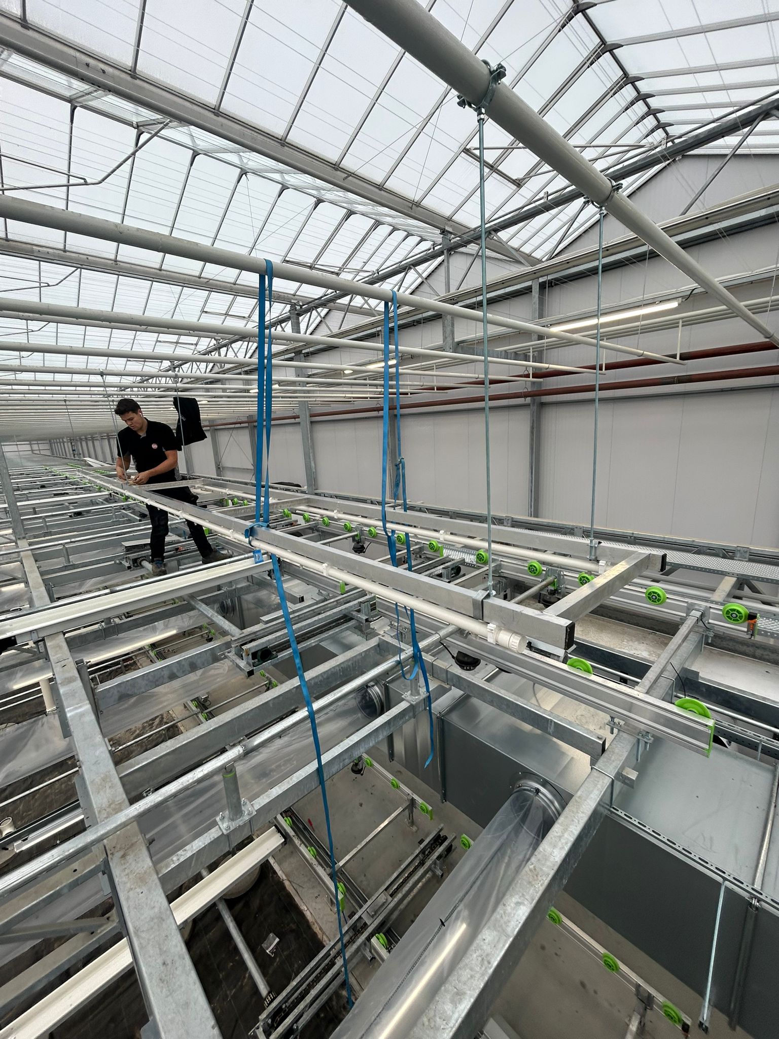 Ronico B.V.: Nieuwbouw tulpenbroeierij, watertechniek & LED-belichting