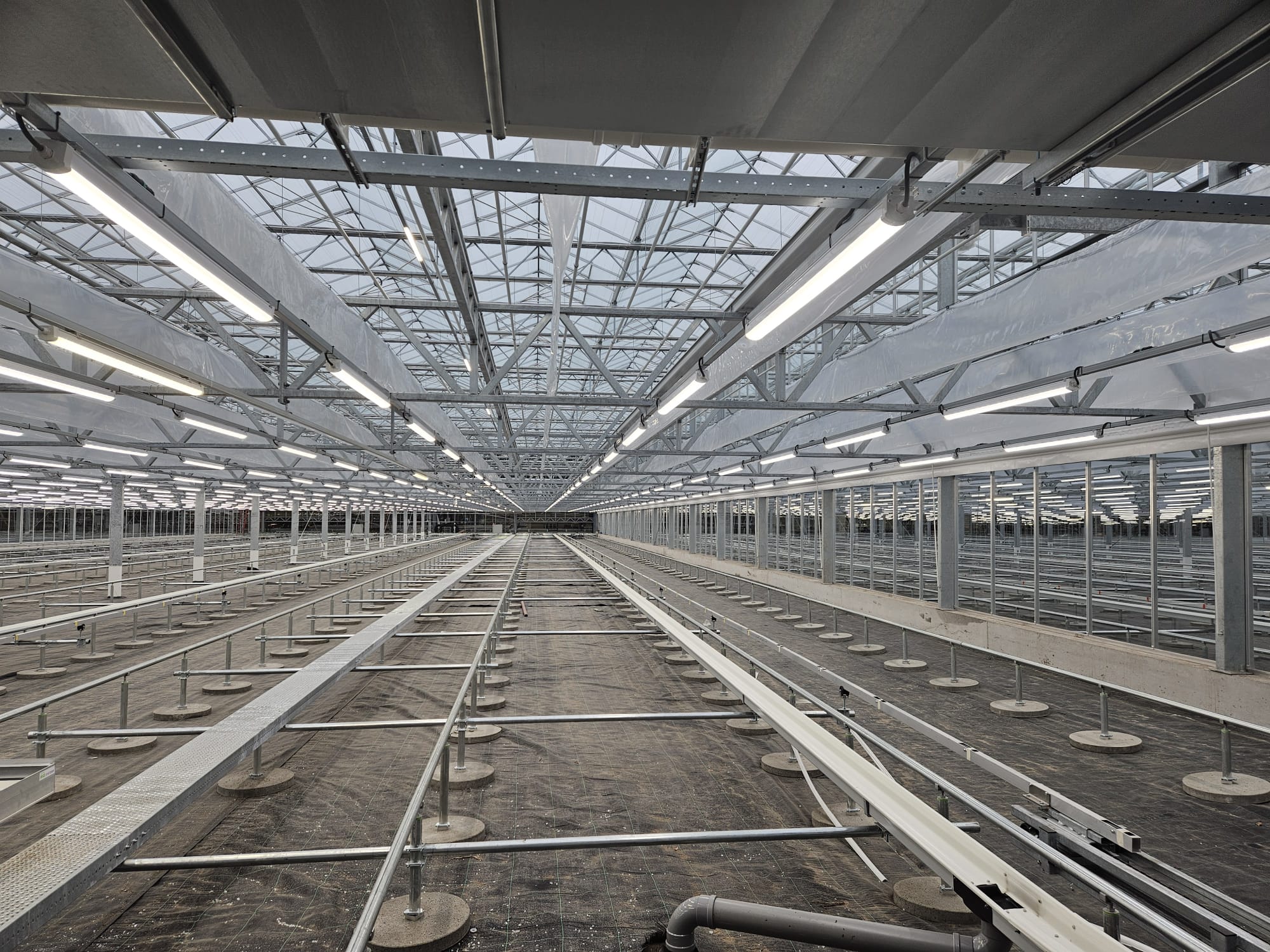 Ronico B.V.: Nieuwbouw tulpenbroeierij, watertechniek & LED-belichting